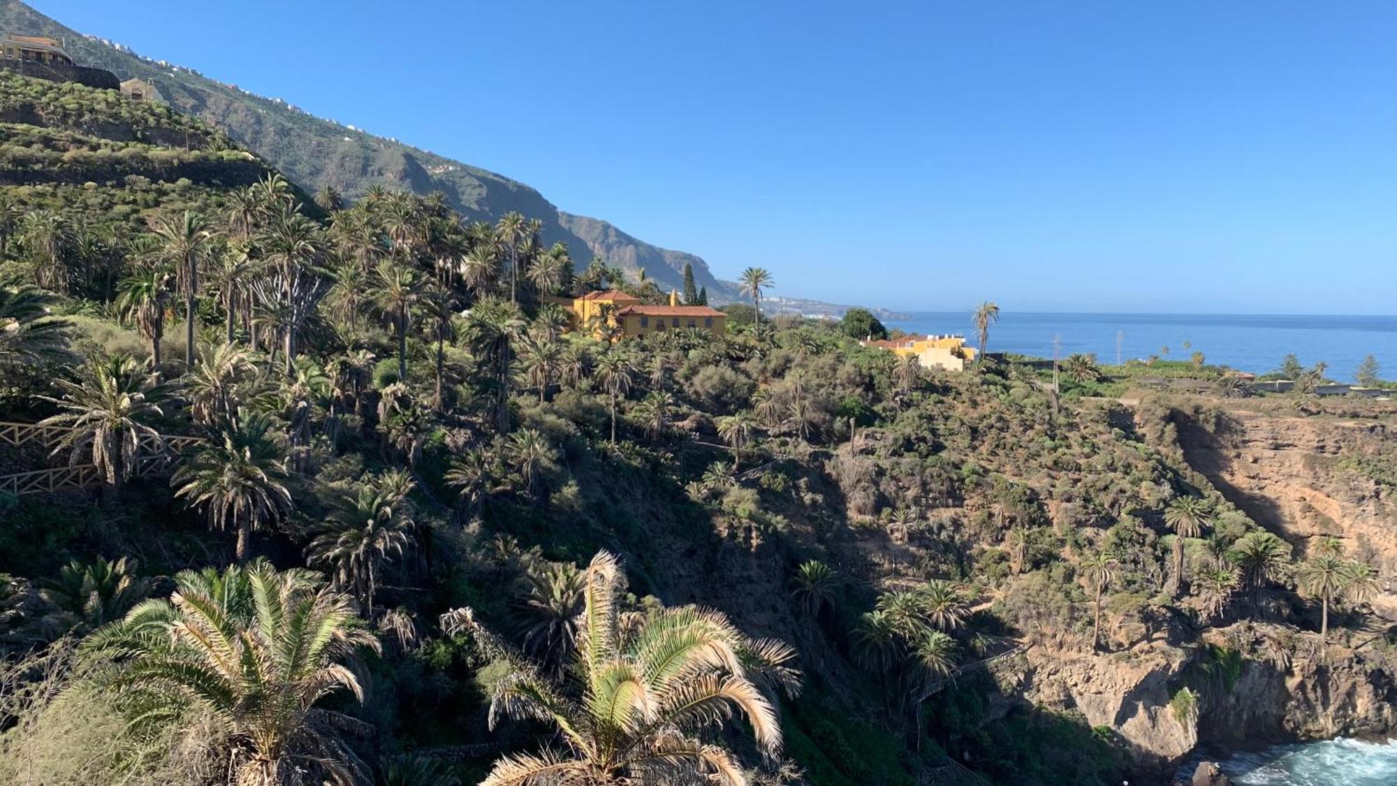 Apartamento Renovado "Hogar Las Vistas" Los Realejos Esterno foto