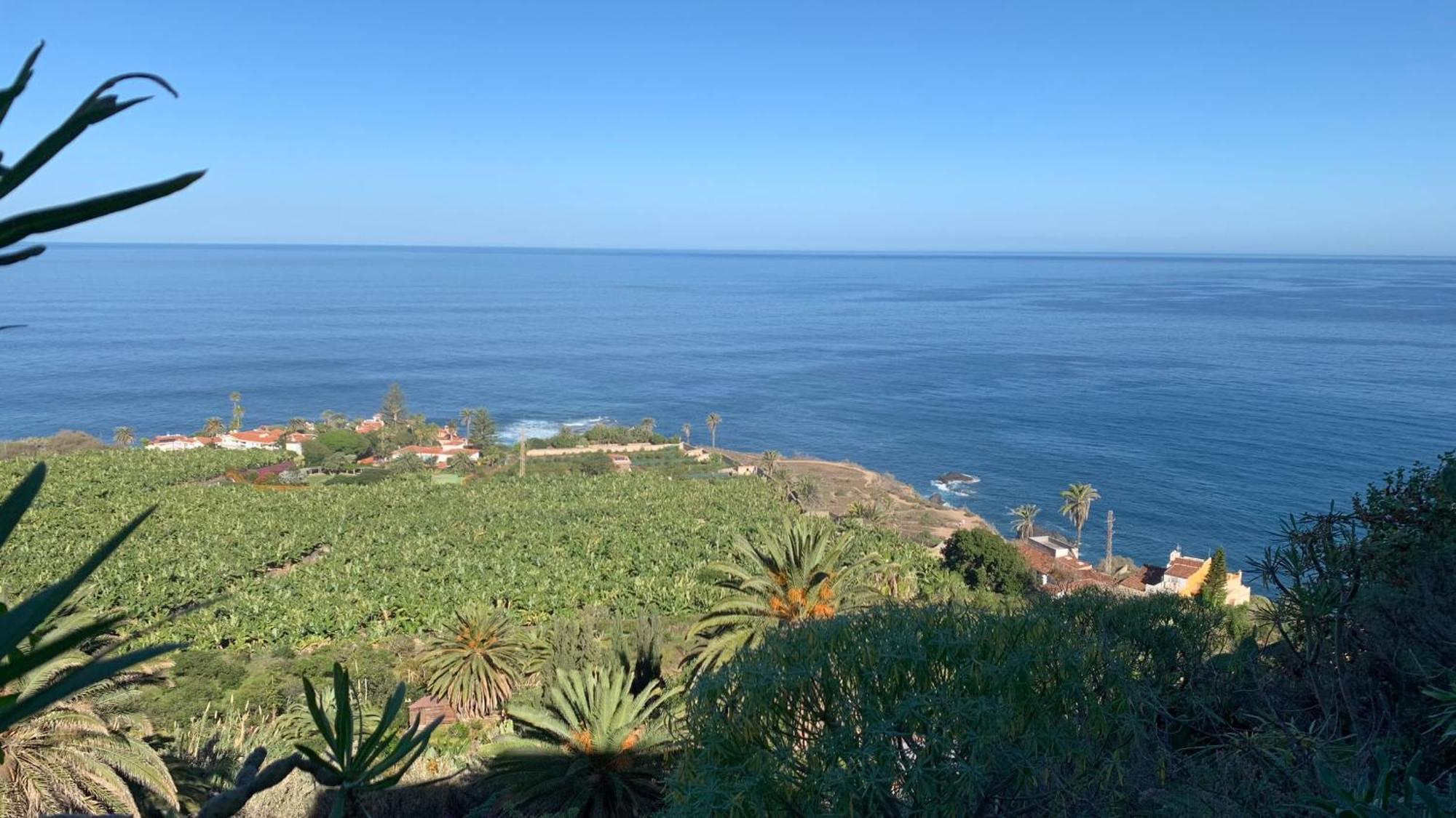 Apartamento Renovado "Hogar Las Vistas" Los Realejos Esterno foto